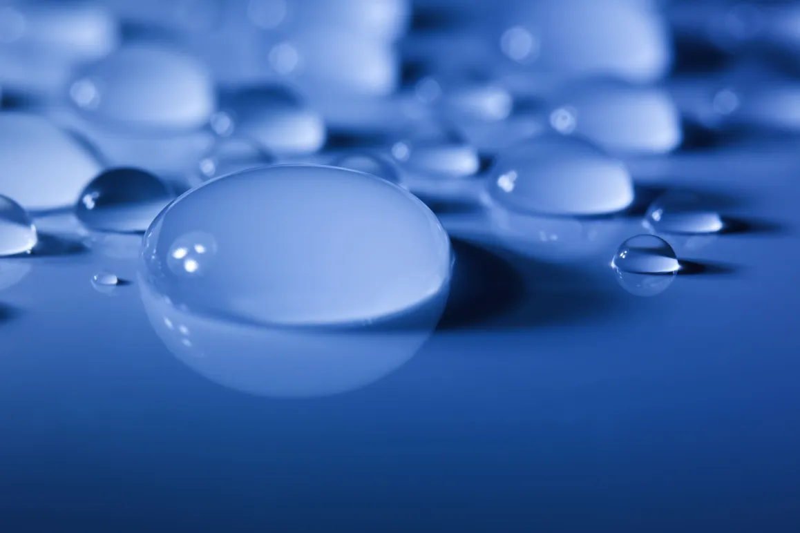 Bluum Nutricosmética premium con bioactivos naturales